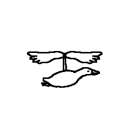 Flying Goose