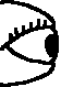 Goose Eyeball